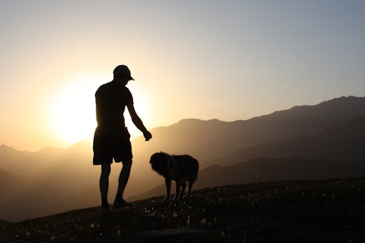 Silhouette of a man and his dog enjoying a serene sunset on a mountain landscape.