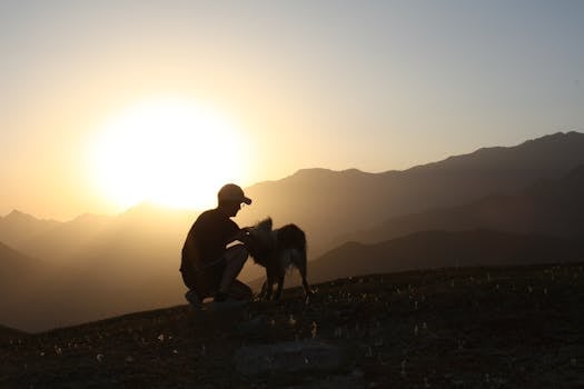 A captivating silhouette of a person petting their dog against a mountain sunset.