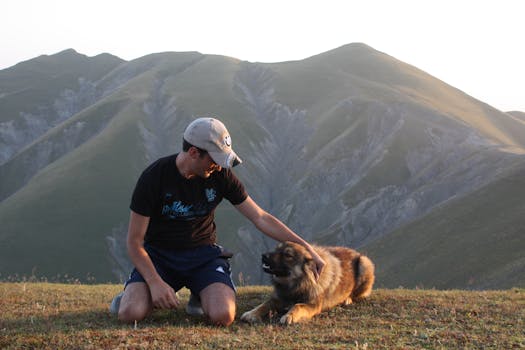 A man pets his dog while sitting on a grassy mountainside during sunset.