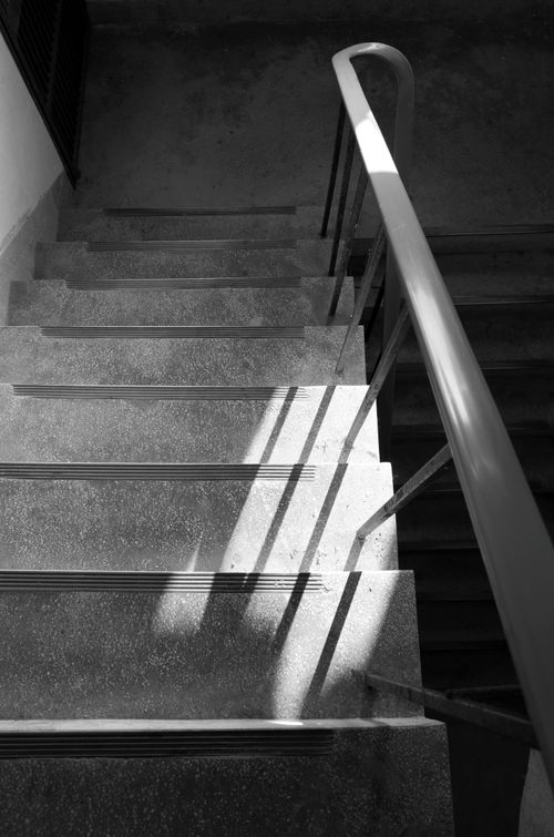 Free A high-angle black and white view of a staircase casting bold shadows. Stock Photo