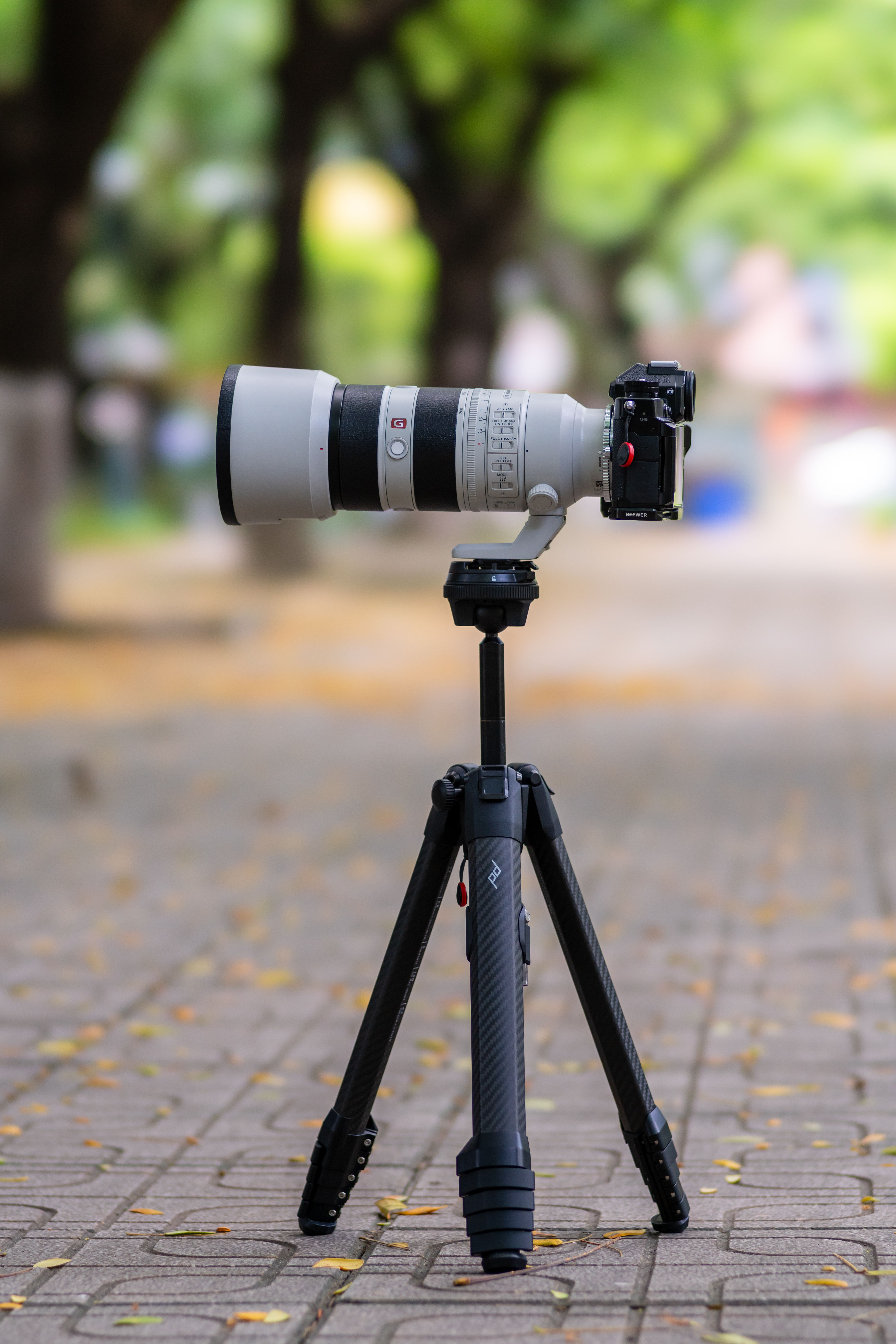 Professional Camera on Tripod in Outdoor Setting · Free Stock Photo