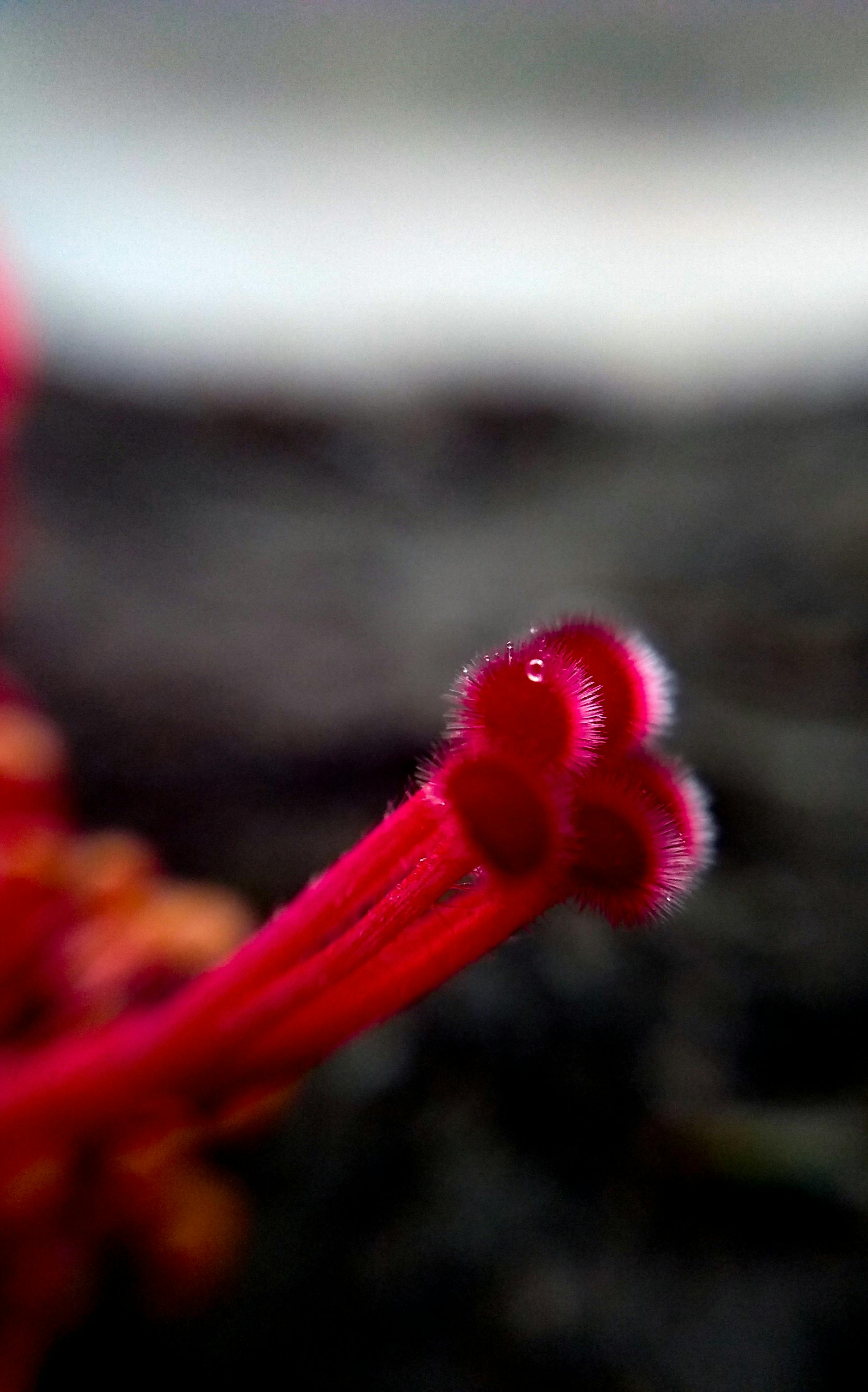 What to Pack for an Orlando Vacation