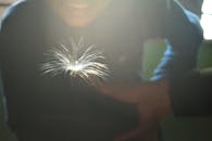 特写镜头下，室内阳光照射中漂浮的凤尾鱼种子