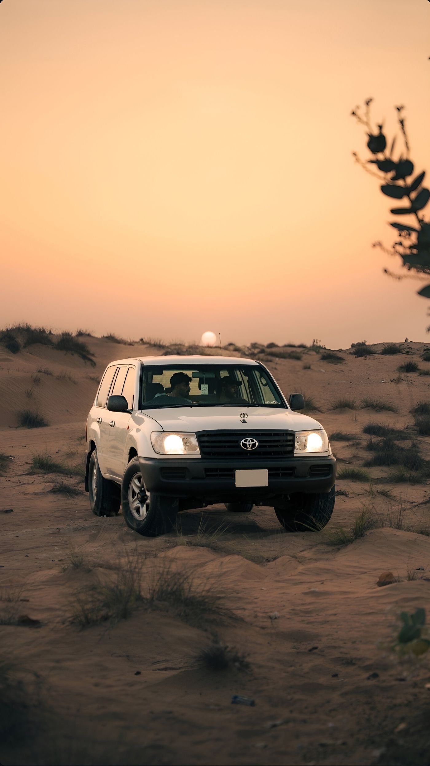 SUV driving through open landscape at sunset