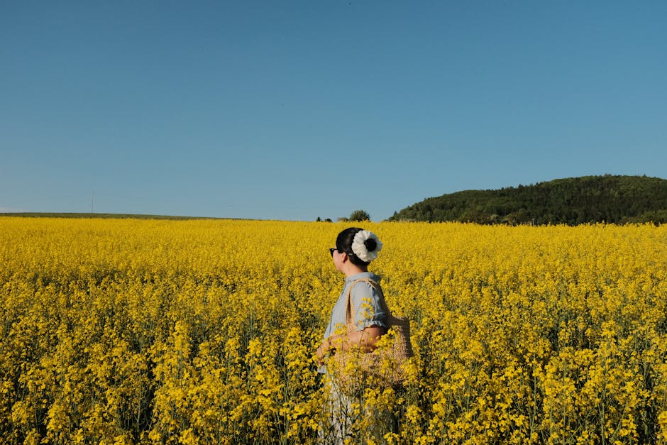 친환경 관련 이미지