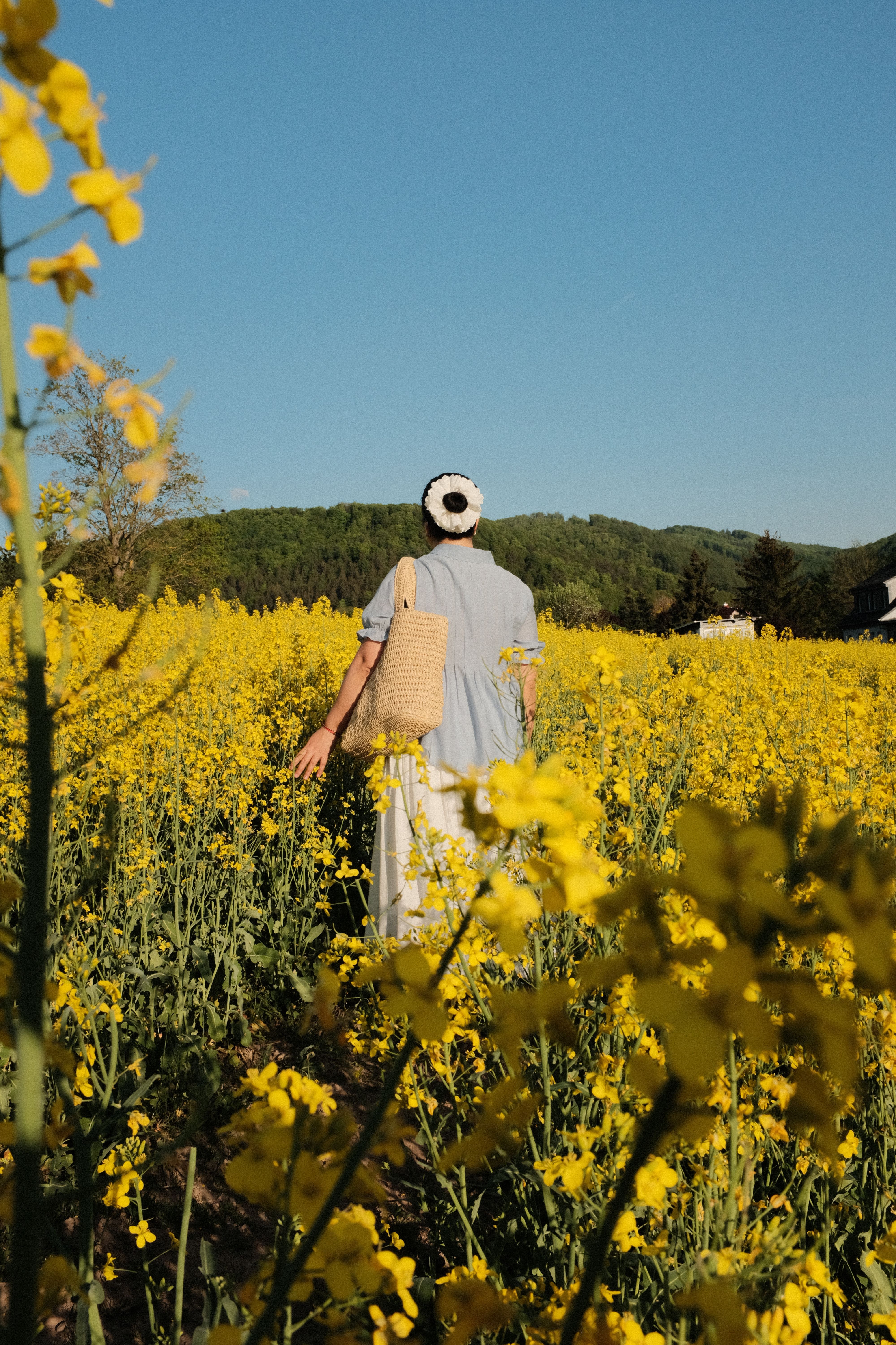 Woman Walking Through Beautiful Yellow Flower Field · Free Stock Photo