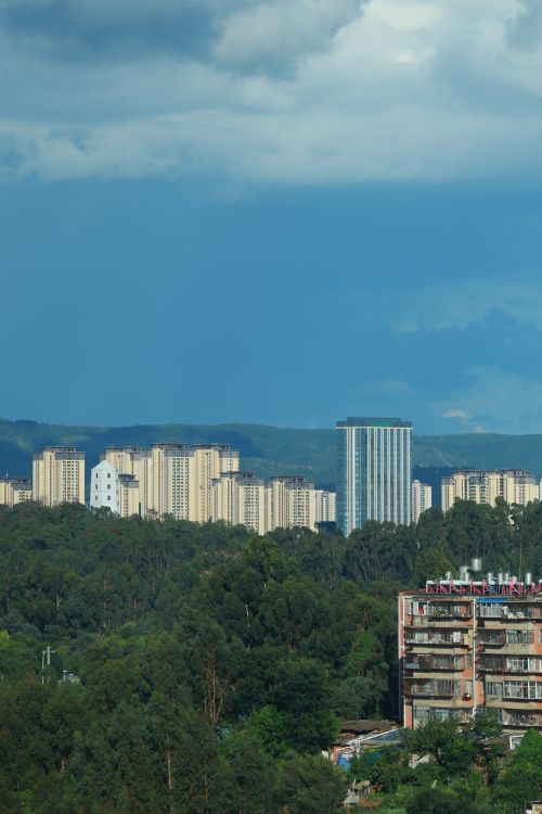 Free A stunning cityscape view featuring modern high-rises and lush greenery under a dramatic sky. Stock Photo