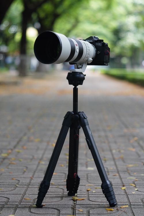 Free High-quality camera with telephoto lens mounted on tripod, set outdoors in park. Stock Photo