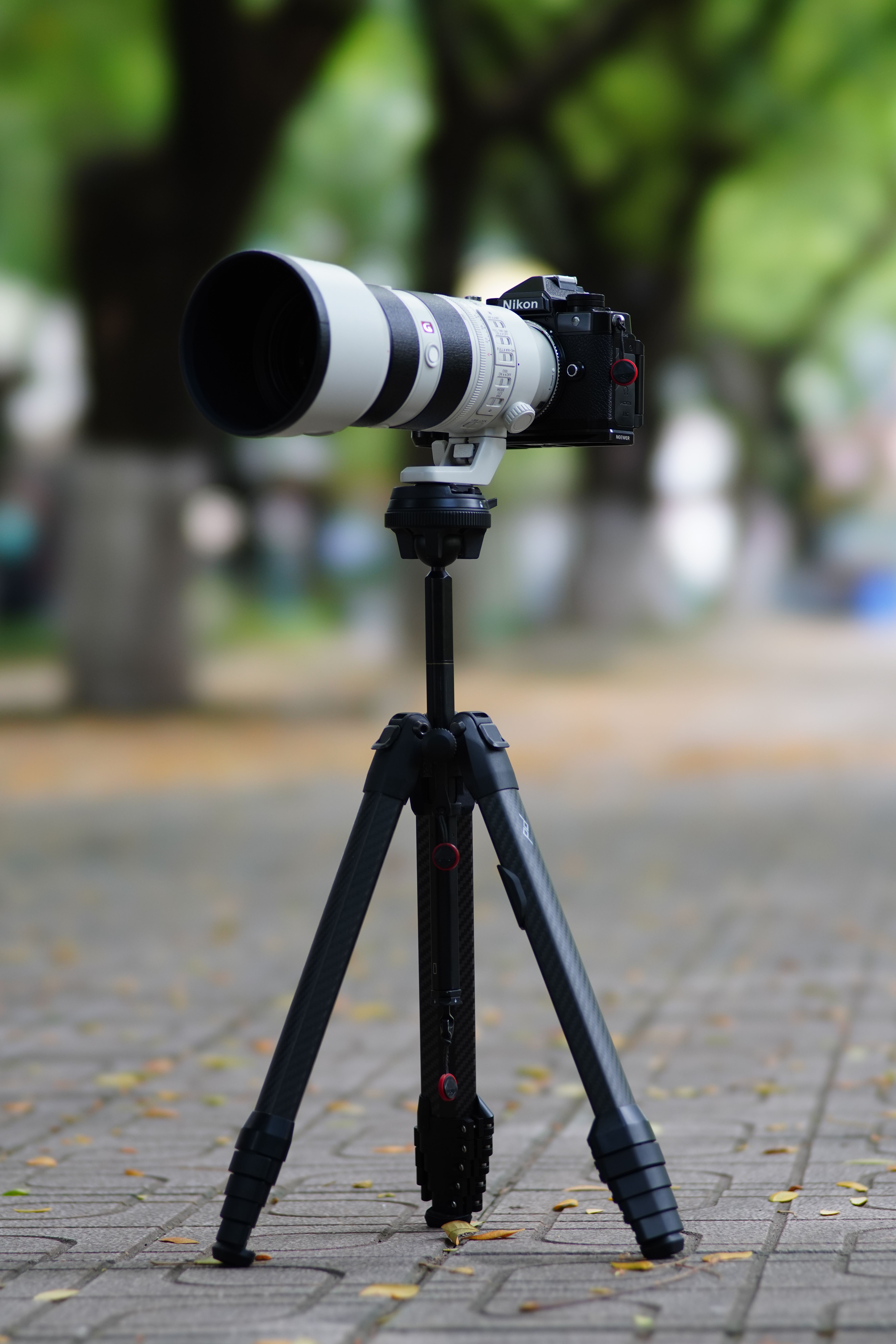 Professional Camera on Tripod in Outdoor Setting · Free Stock Photo