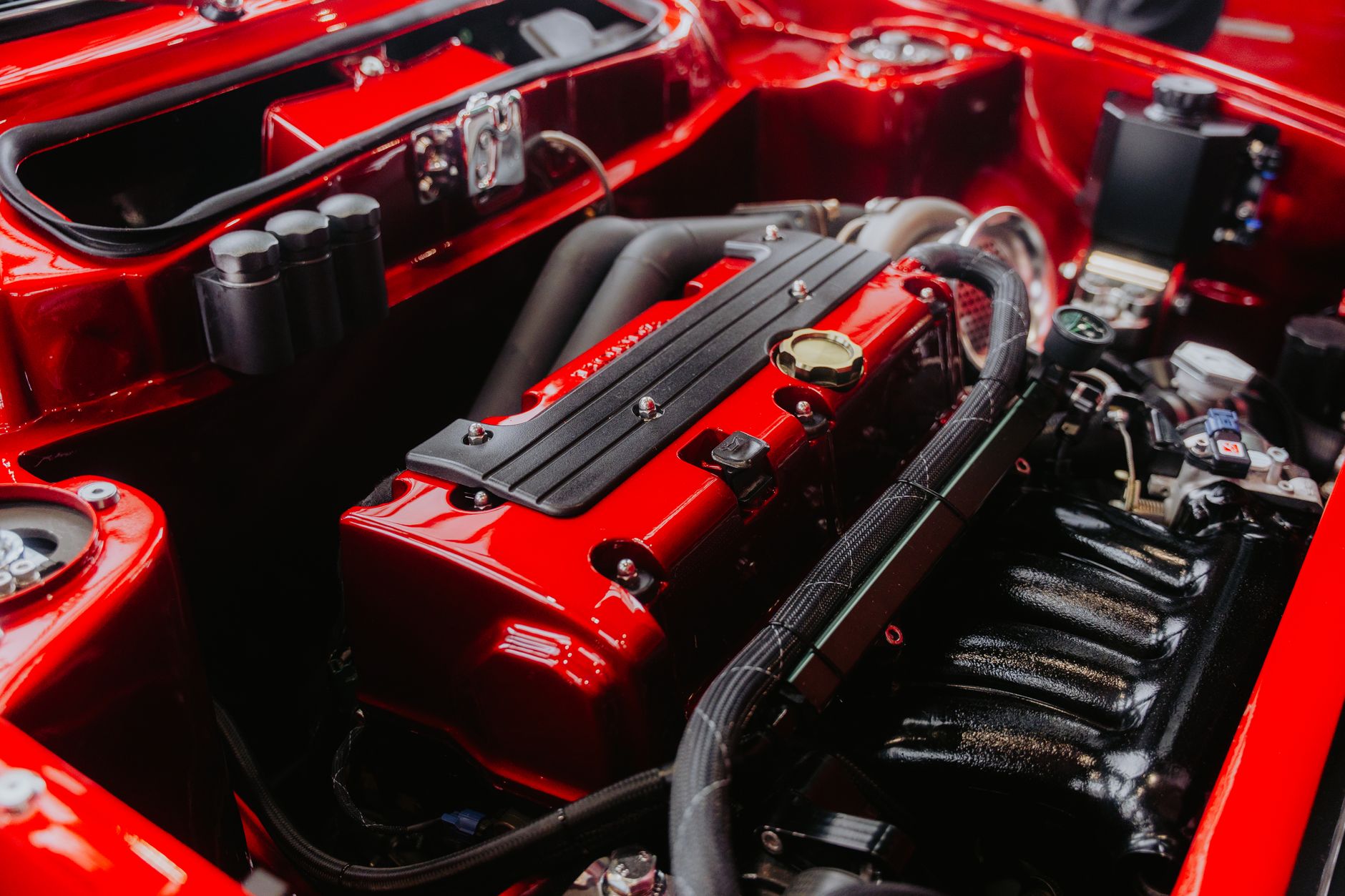 Advance Auto Parts (AAP) Earnings Analysis and Future Catalysts