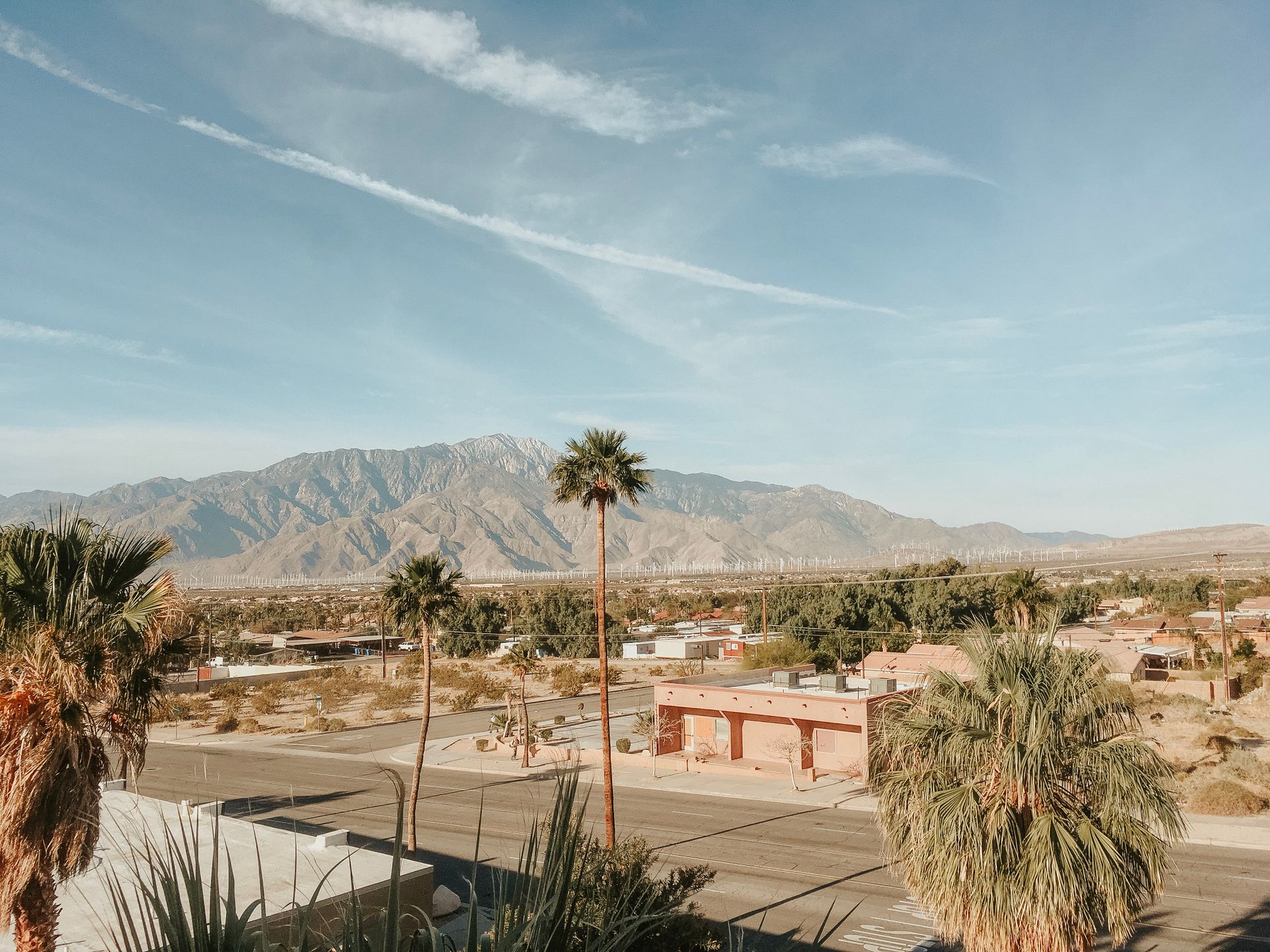 Desert street with palms and mountains (stock photo)