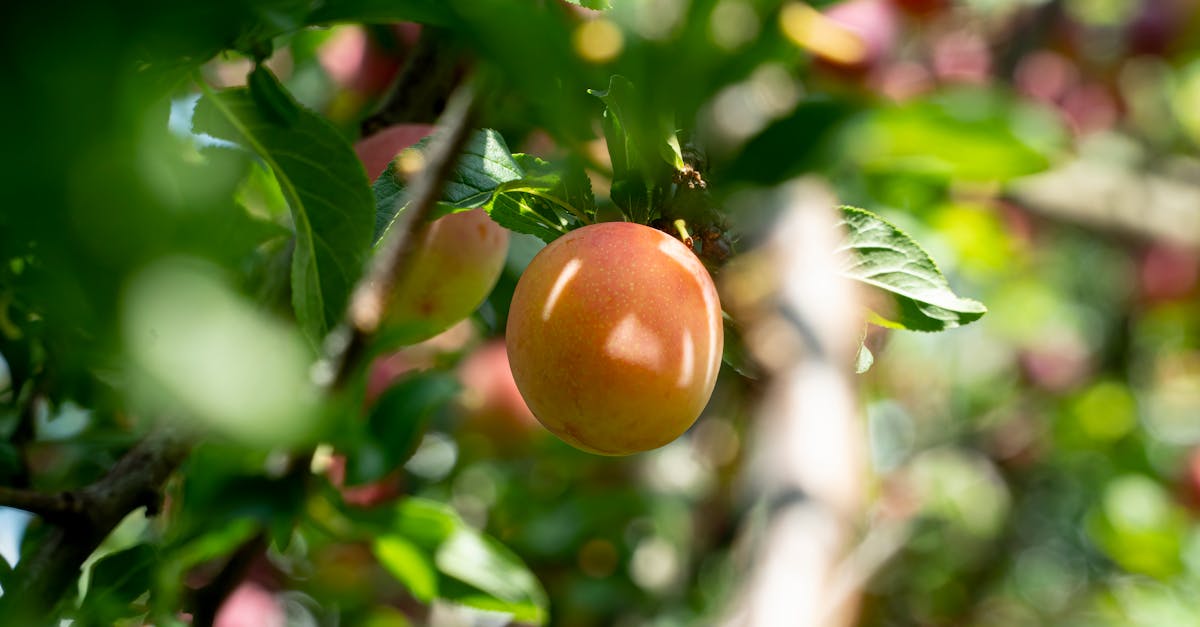 臺東縣府精選16家優良物產 前進臺北國際食品展 慢品山海之間的生活美學