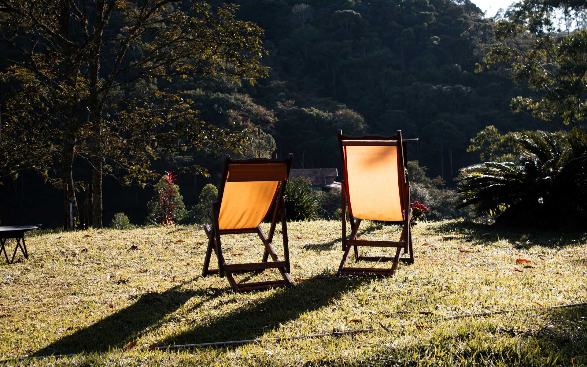 Two deck chairs on a sunny lawn in São Francisco Xavier, Brazil, perfect for relaxation.