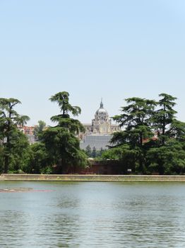 Almudena Cathedral framed by lush trees from a serene park view in Madrid.