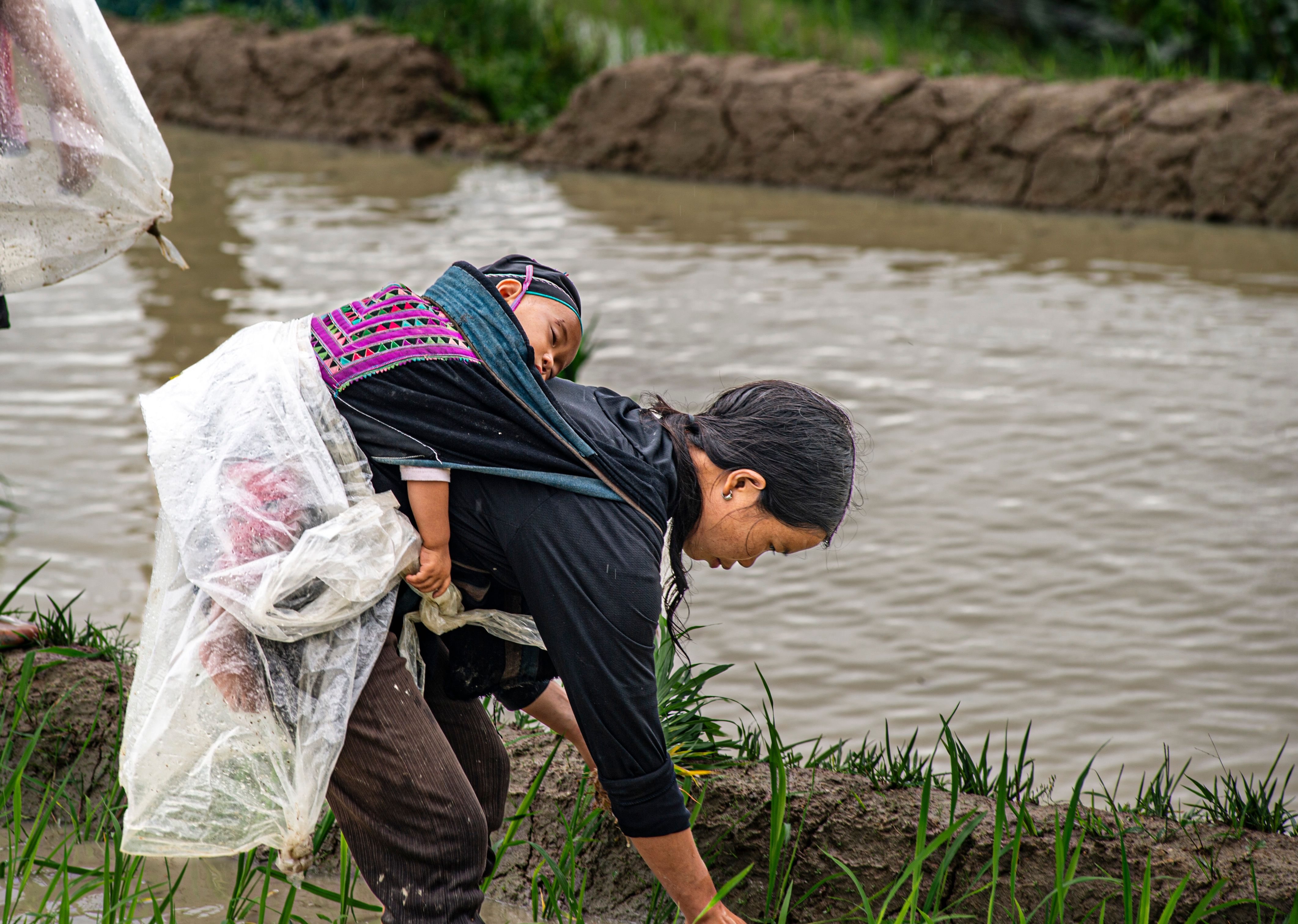Mother and Child Working in Hà Giang Rice Field · Free Stock Photo