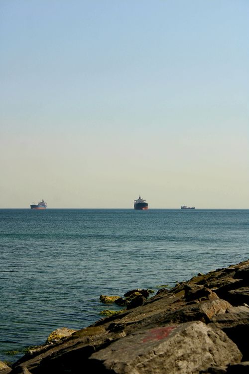 Free Tranquil view of cargo ships on the horizon with rocky shoreline in foreground. Stock Photo