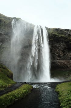 Stunning view of Seljalandsfoss waterfall cascading in Iceland's natural landscape.