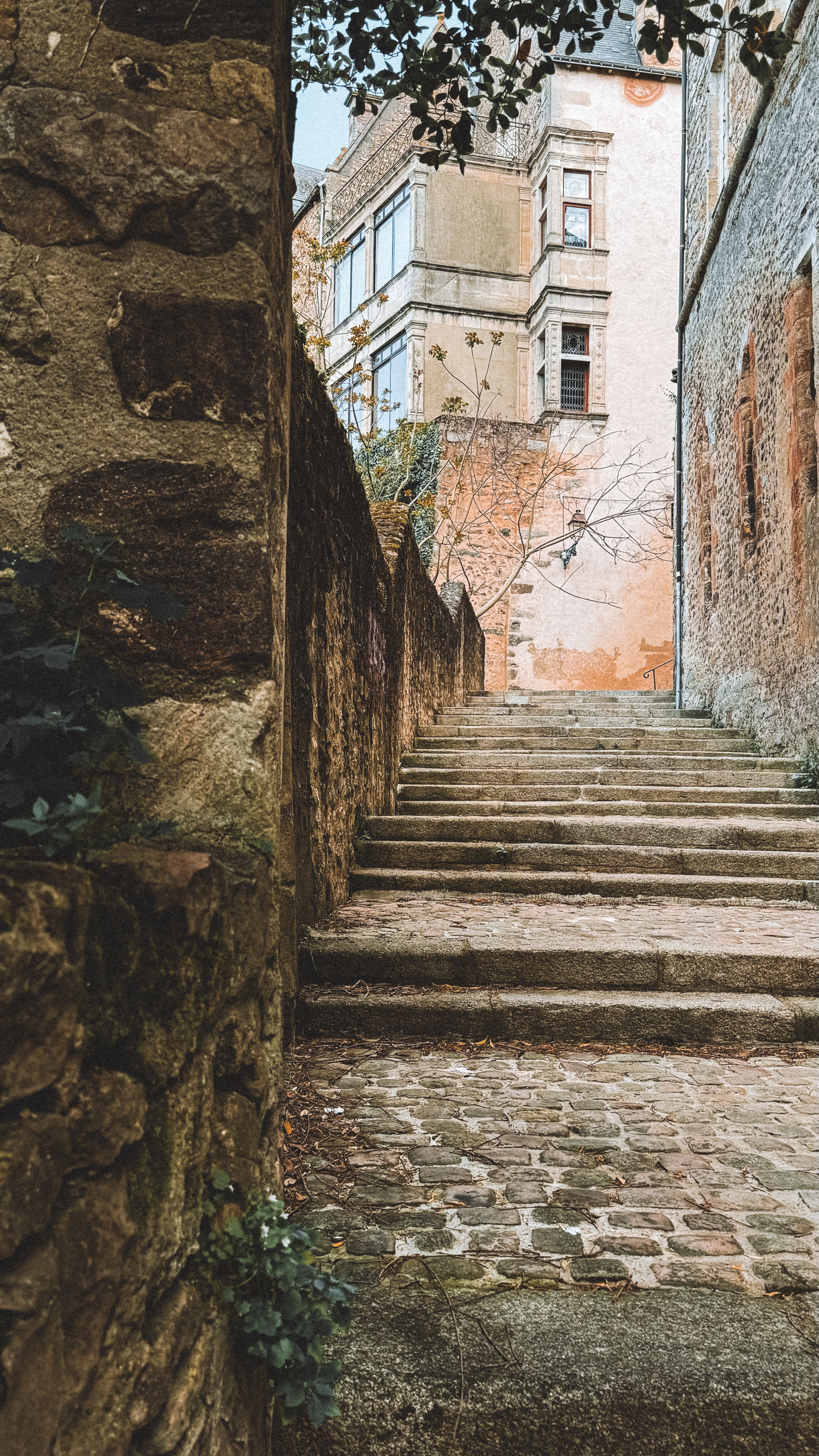 Charming Cobblestone Alley in Historic European Town · Free Stock Photo