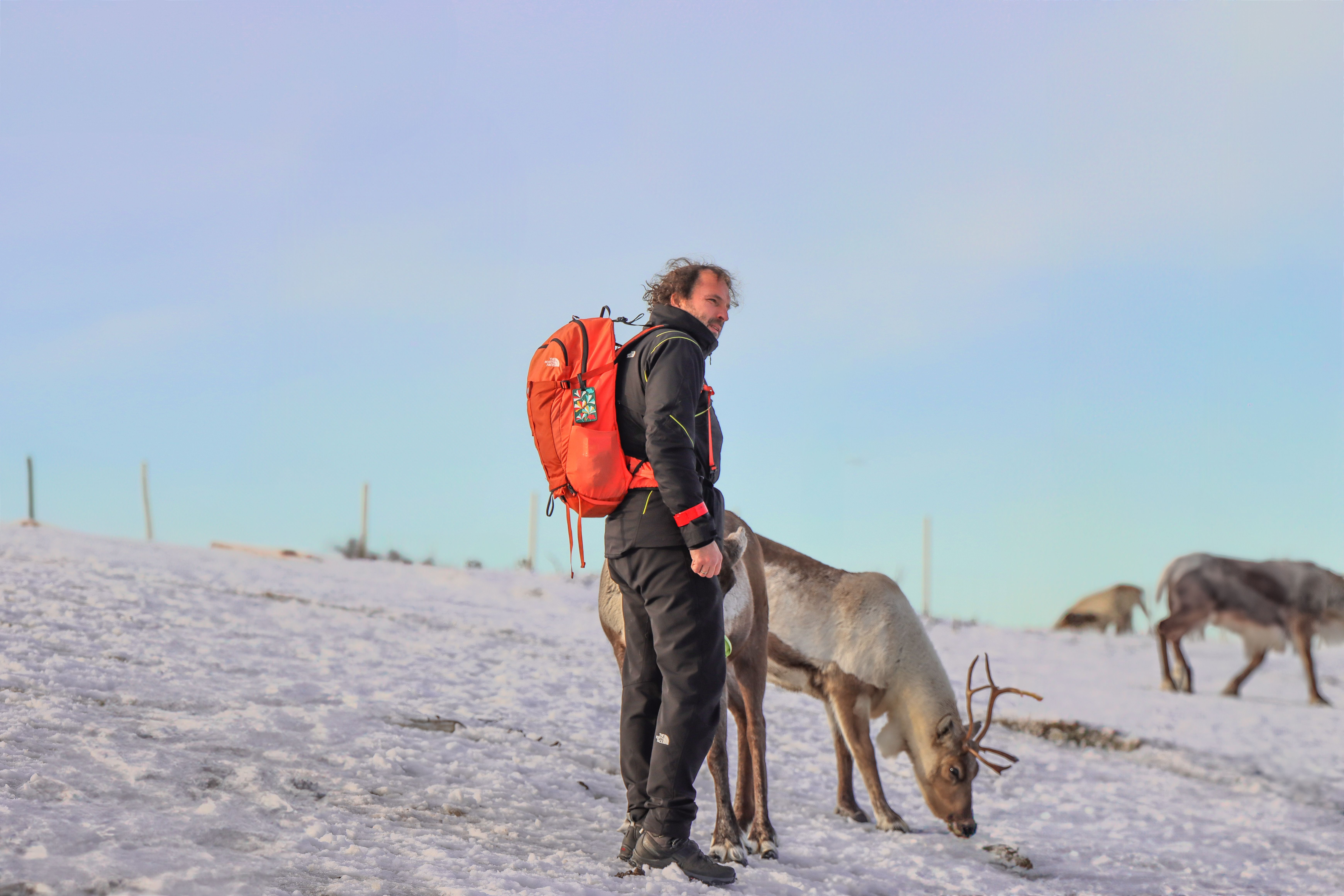 Northern Star Guesthouse – Hostel in Tromso | Tromso