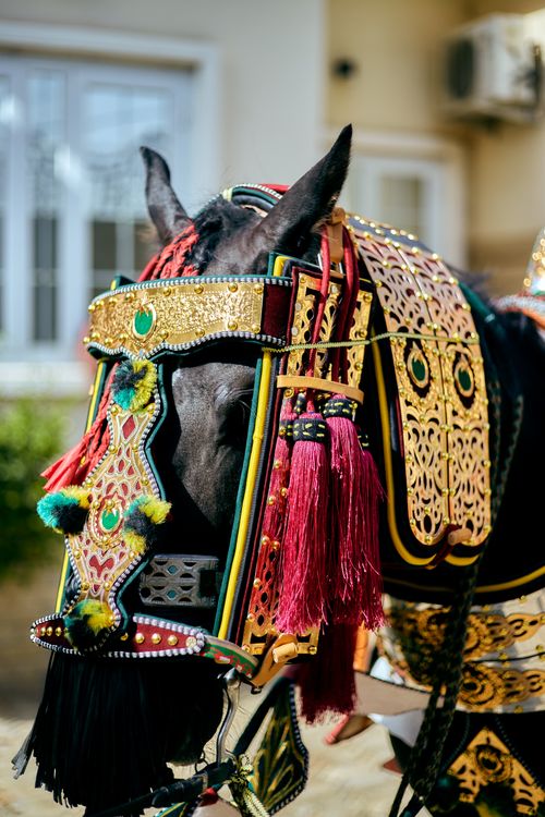 Free A horse adorned with vibrant traditional attire featuring intricate patterns and jewel embellishments. Stock Photo