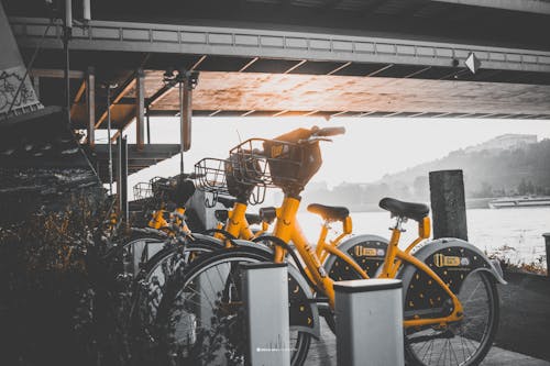 Gratis lagerfoto af cykel, grevinkivi, gul