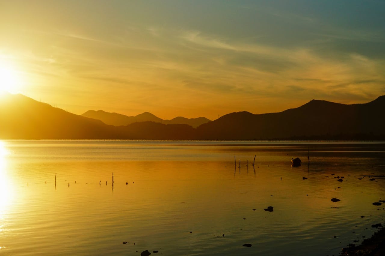 Chim lửa | Chương 68