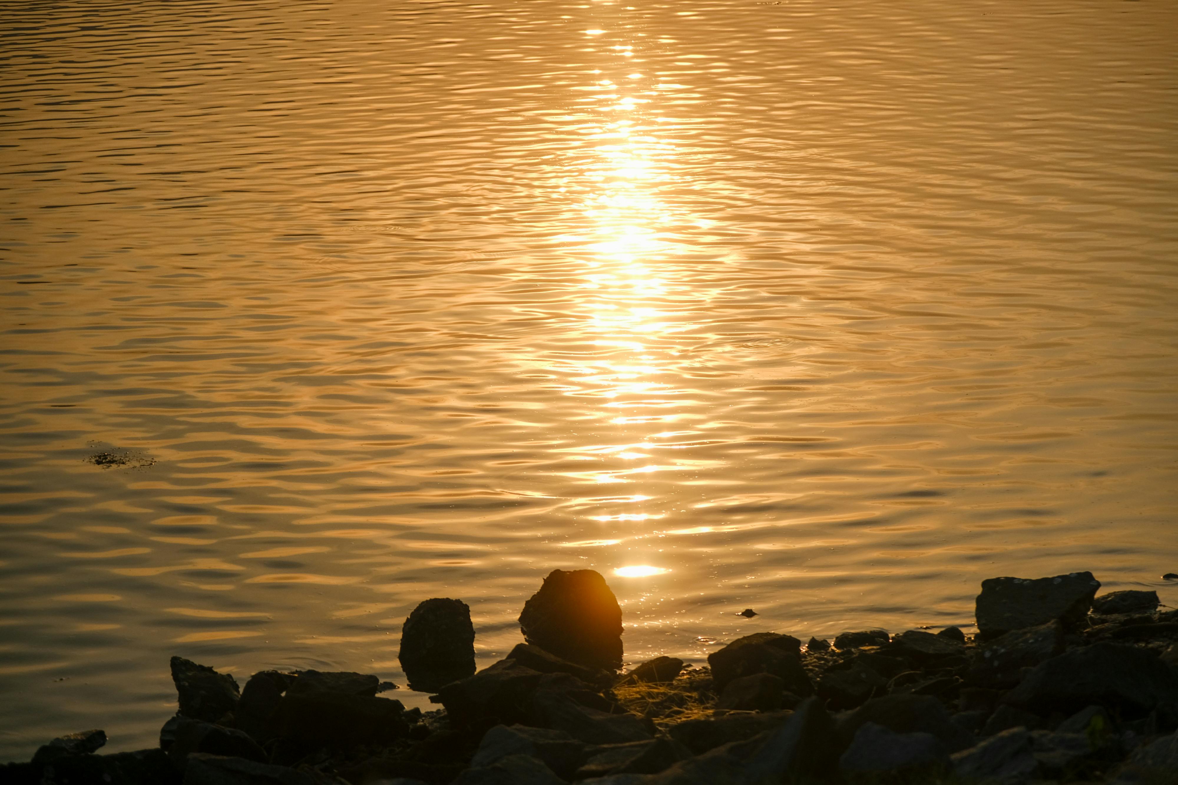 Chủ nghĩa hư vô (nihilism) là gì?