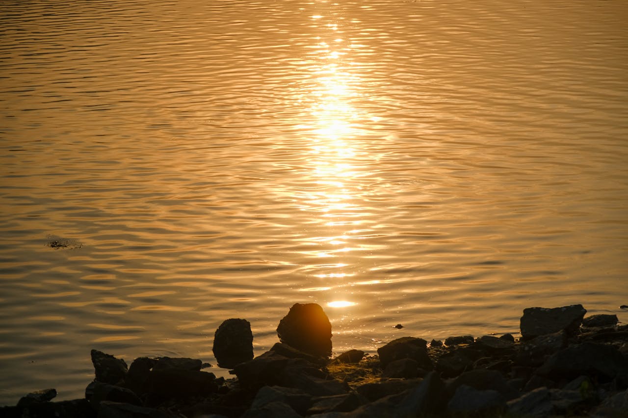 Thám tử lừng danh Conan | Chương 0066