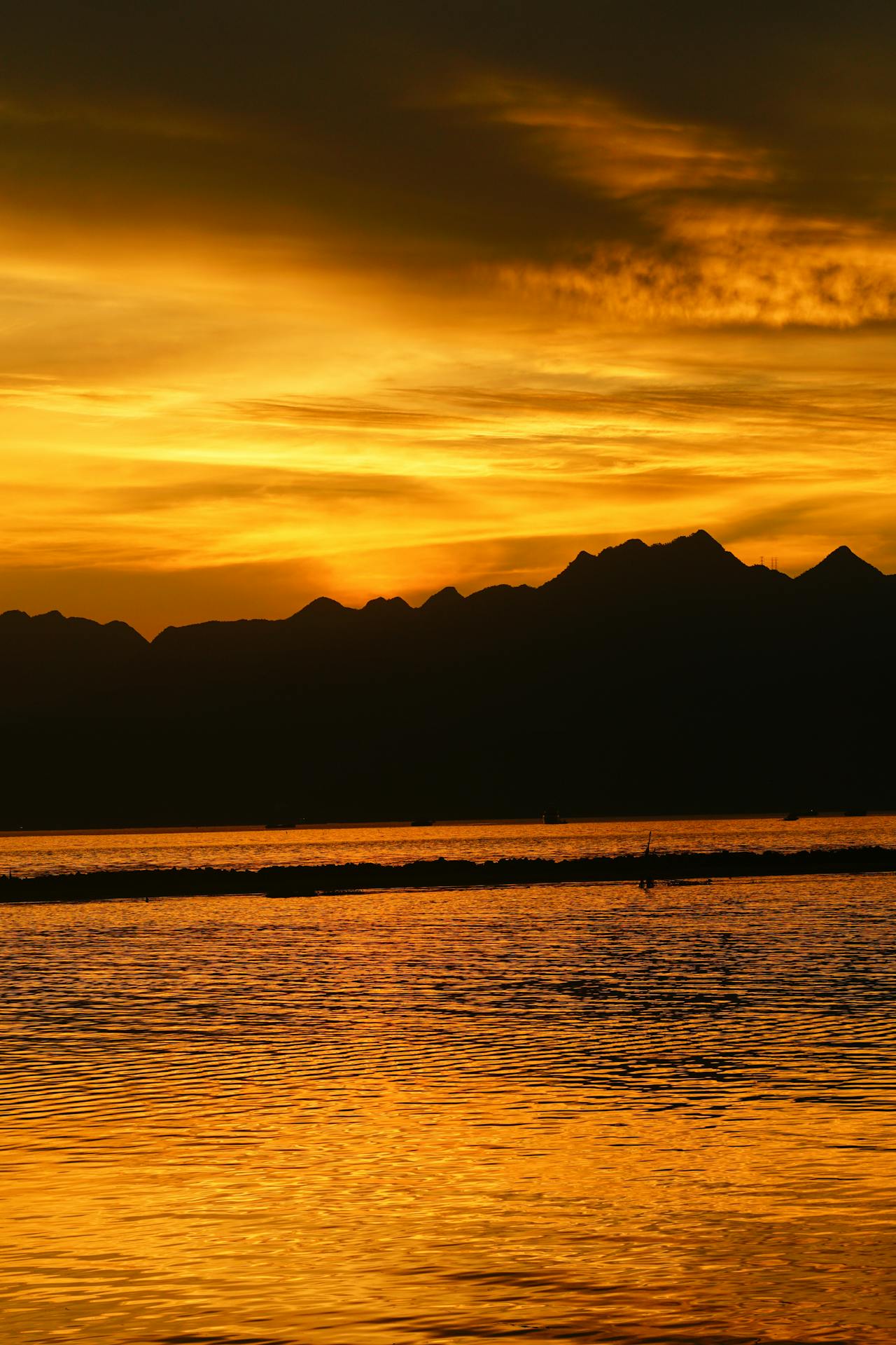 Gián điệp mạng | Chương 49