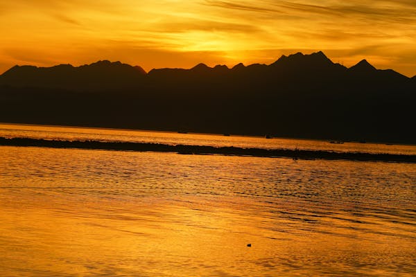 Danh sách bài viết, trang 356