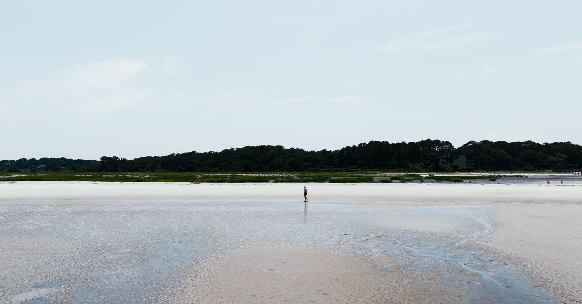 A lone person stands on a wide sandy beach at Hilton Head Island under a clear sky.