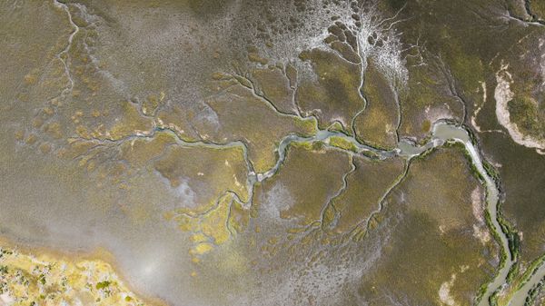 Aerial view of tidal salt marsh channels — photo by K on Pexels