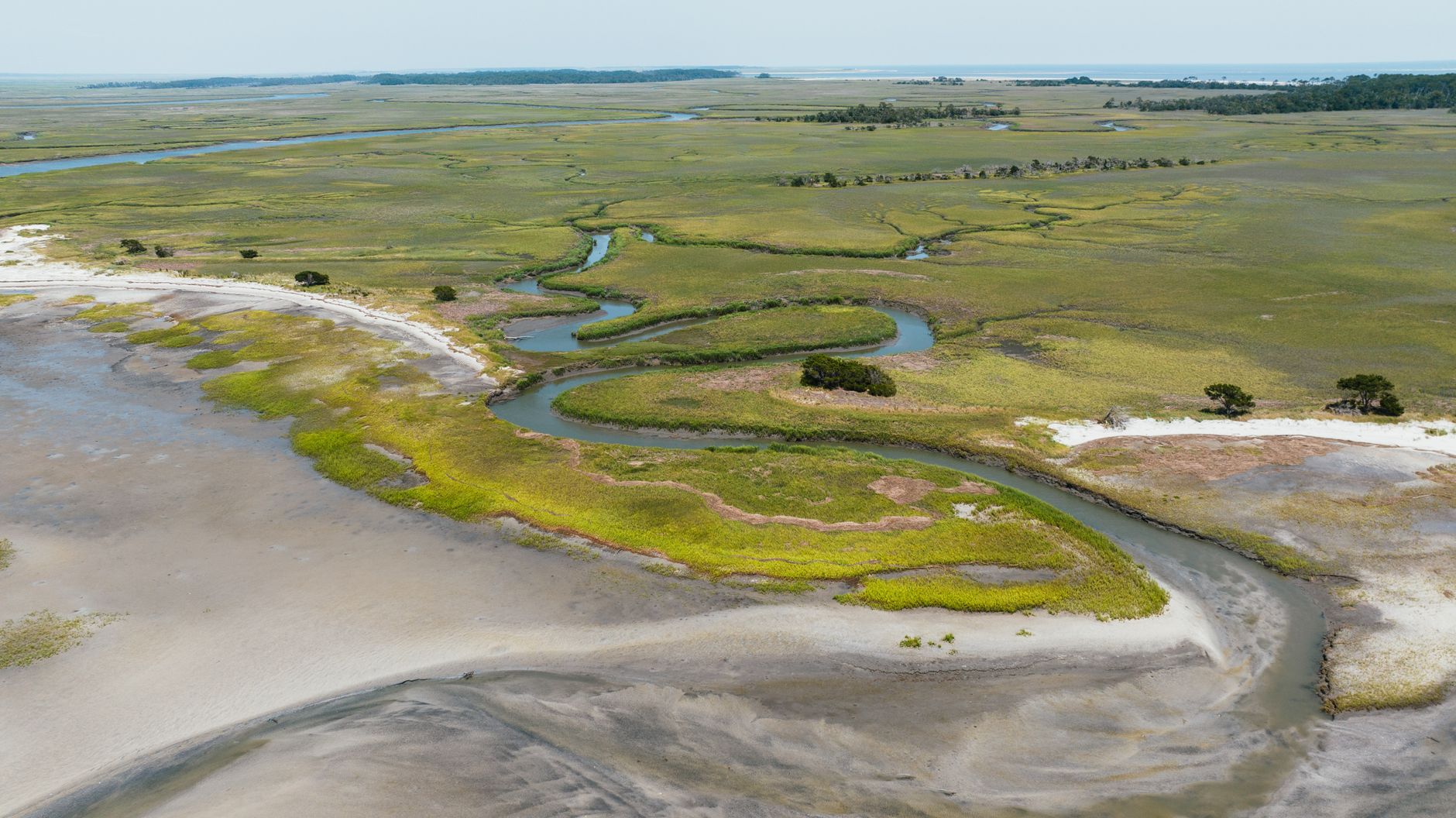 Google Builds Carbon Lab on Degraded Salt Pond, Bets on Wetlands CDR