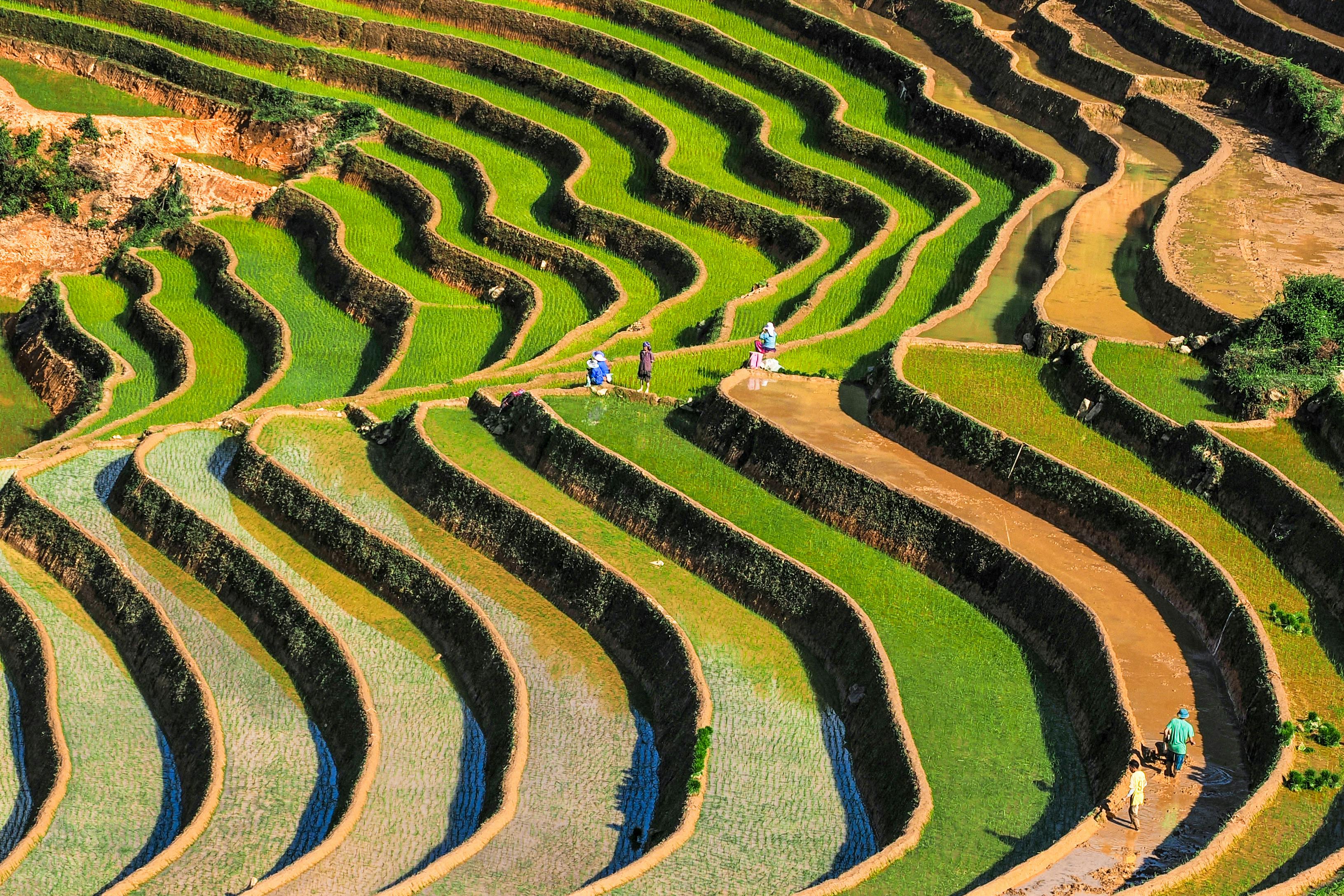 Asia’s Best Places to Travel in 2026, According to Rough Guides — Photo by GIANG VU on Pexels