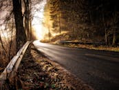 一条宁静的森林道路上，金色的阳光透过树林