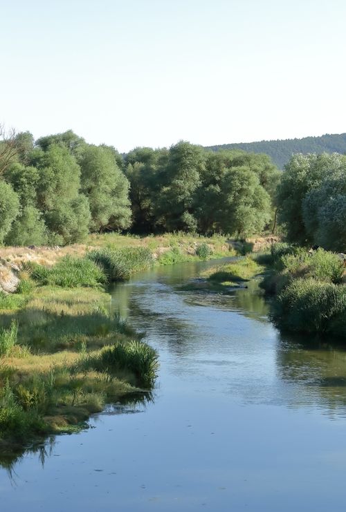Free A serene river flowing through lush greenery under clear skies, captured during summer. Stock Photo