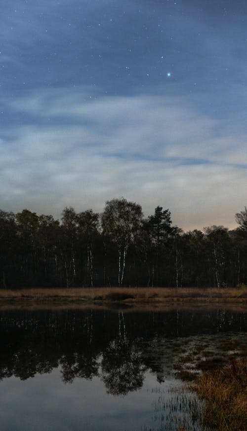 Specchio D'acqua E Alberi Sotto Un Cielo Blu