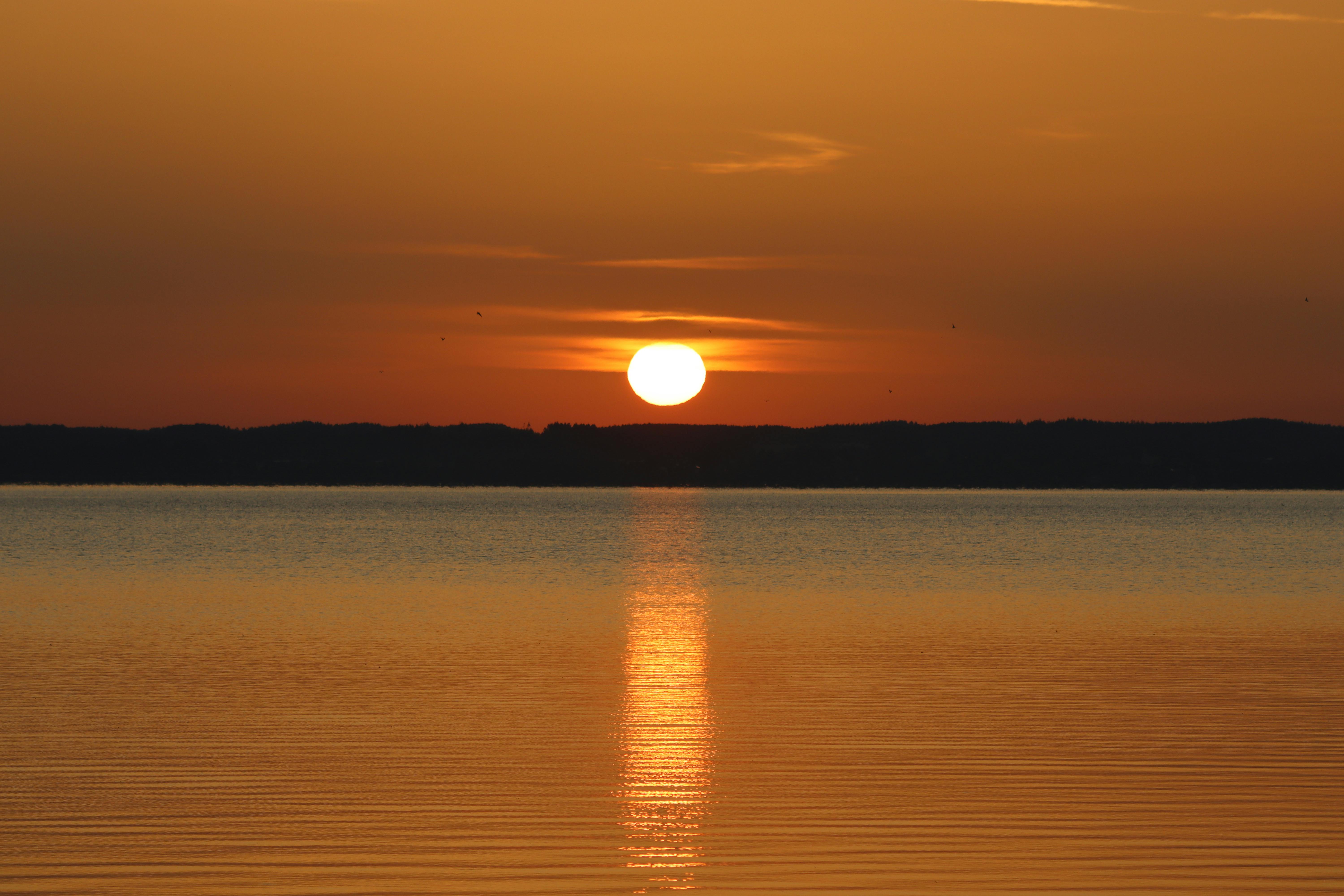 Sunrise Chef: Weis Markets shares budget-friendly recipes — Photo by Rudi on Pexels