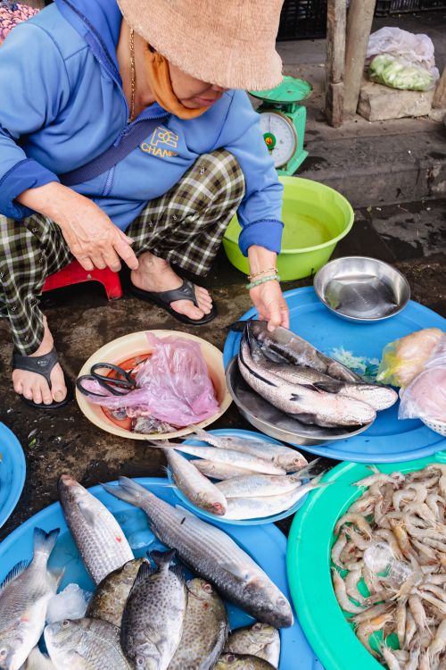Free A street vendor organizing a variety of fresh fish and seafood at an outdoor market. Stock Photo