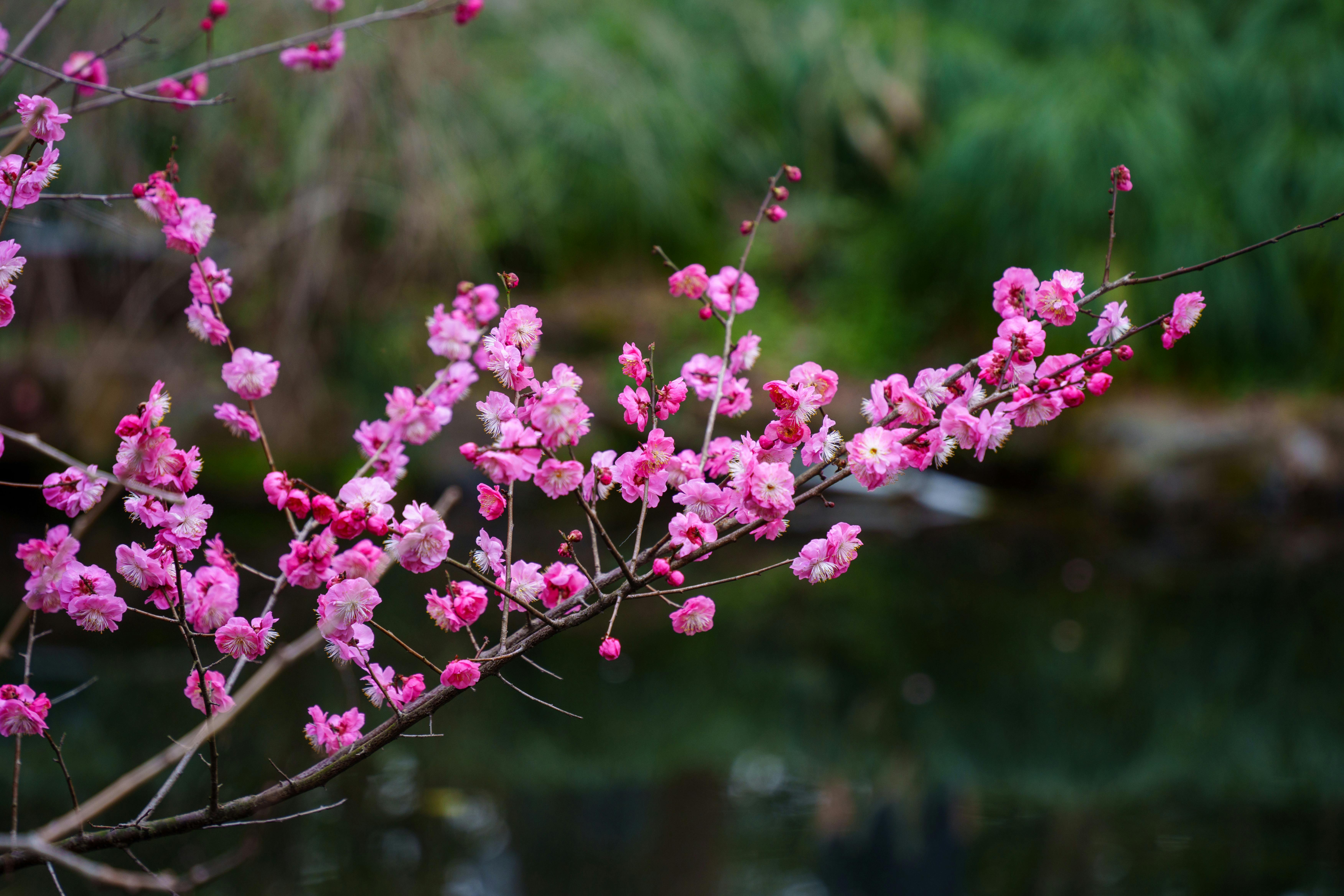 Taking Back Control: Empowering Yourself Against Manipulative Tactics