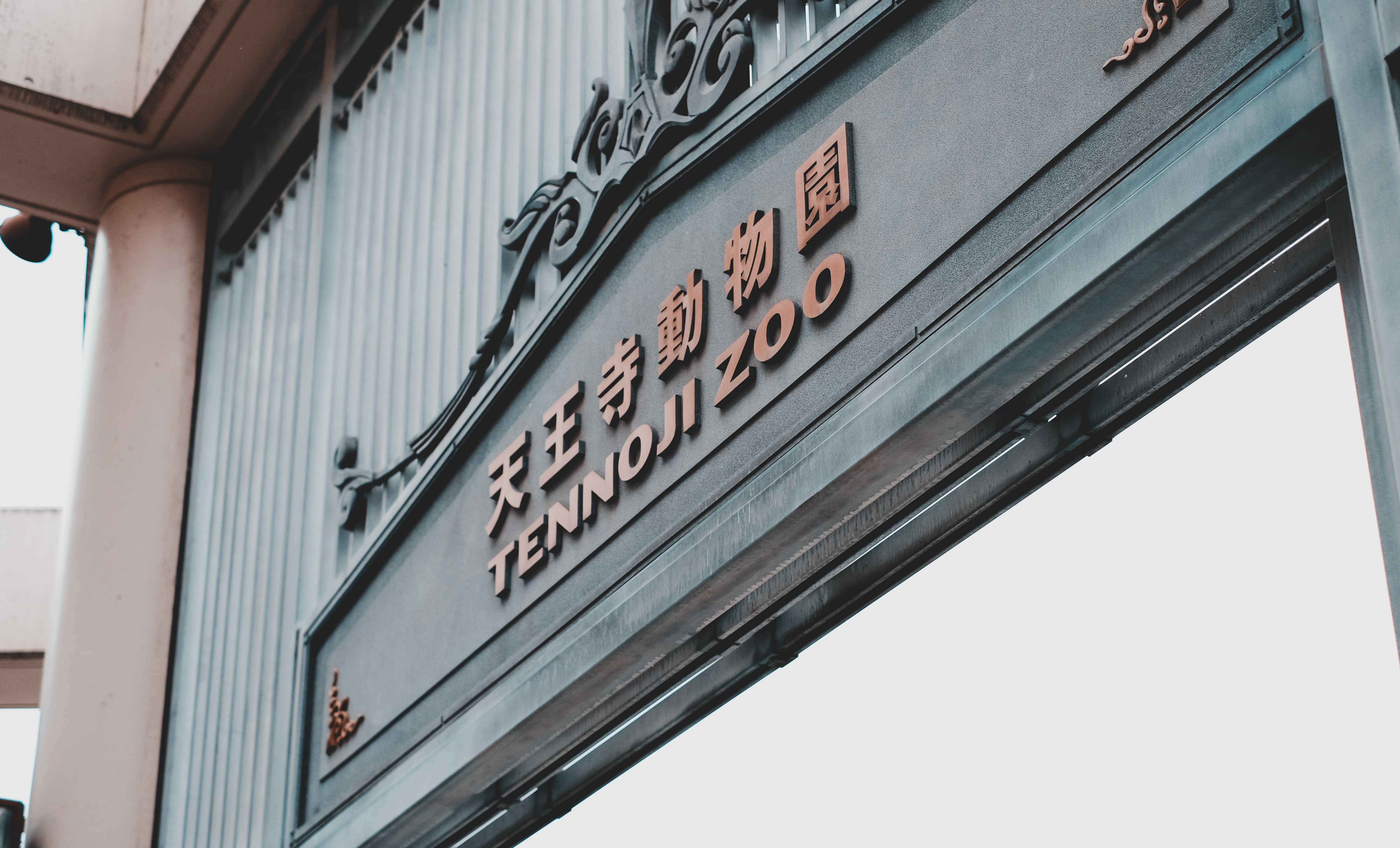 中學受験2027：日能研偏差值預測分析與家庭應對指南