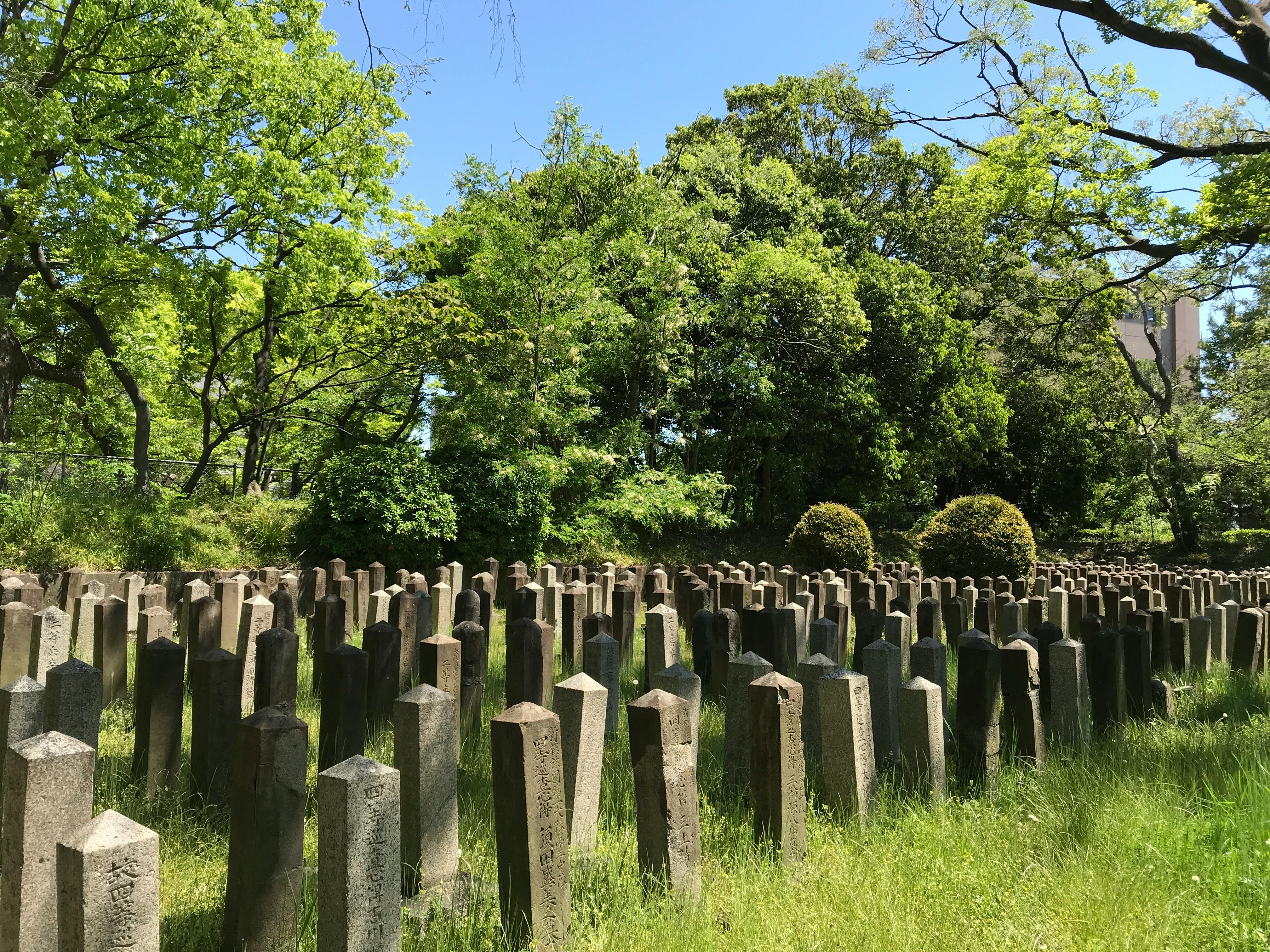 The beautiful landscape and monuments at Graceland Cemetery on a sunny day - things to do uptown chicago