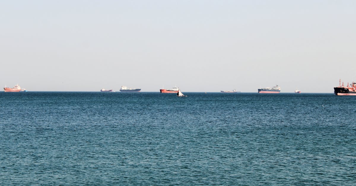 美喆國際 美關稅壓力助攻 非中供應鏈商機大爆發