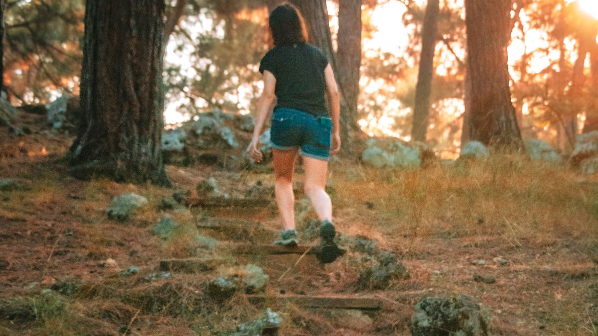 Les bienfaits des bains de forêt pour la santé mentale en 2026 - illustration