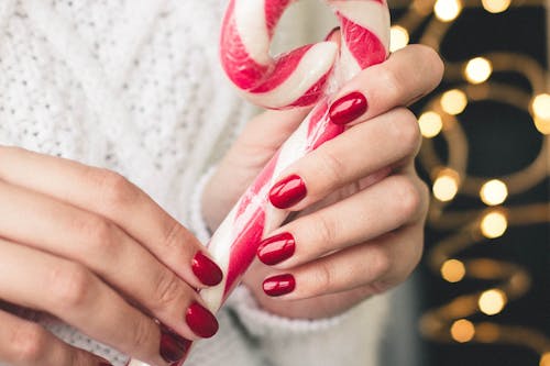 Close-Up Photo of Person Holding Candy Cane