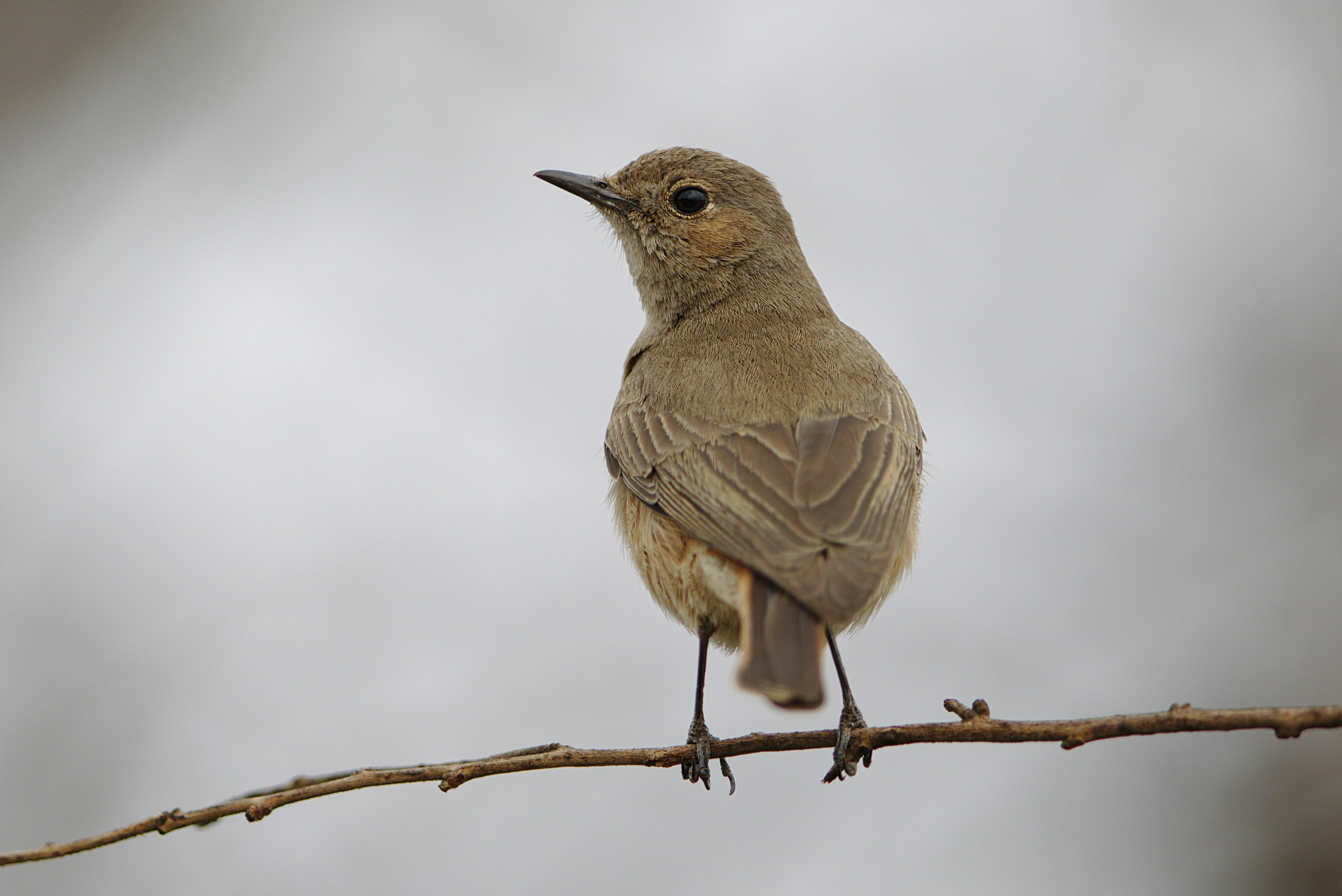 Landmarks in Pilanesberg National Park