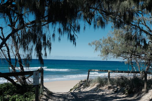 Noosa, Australia photo 22