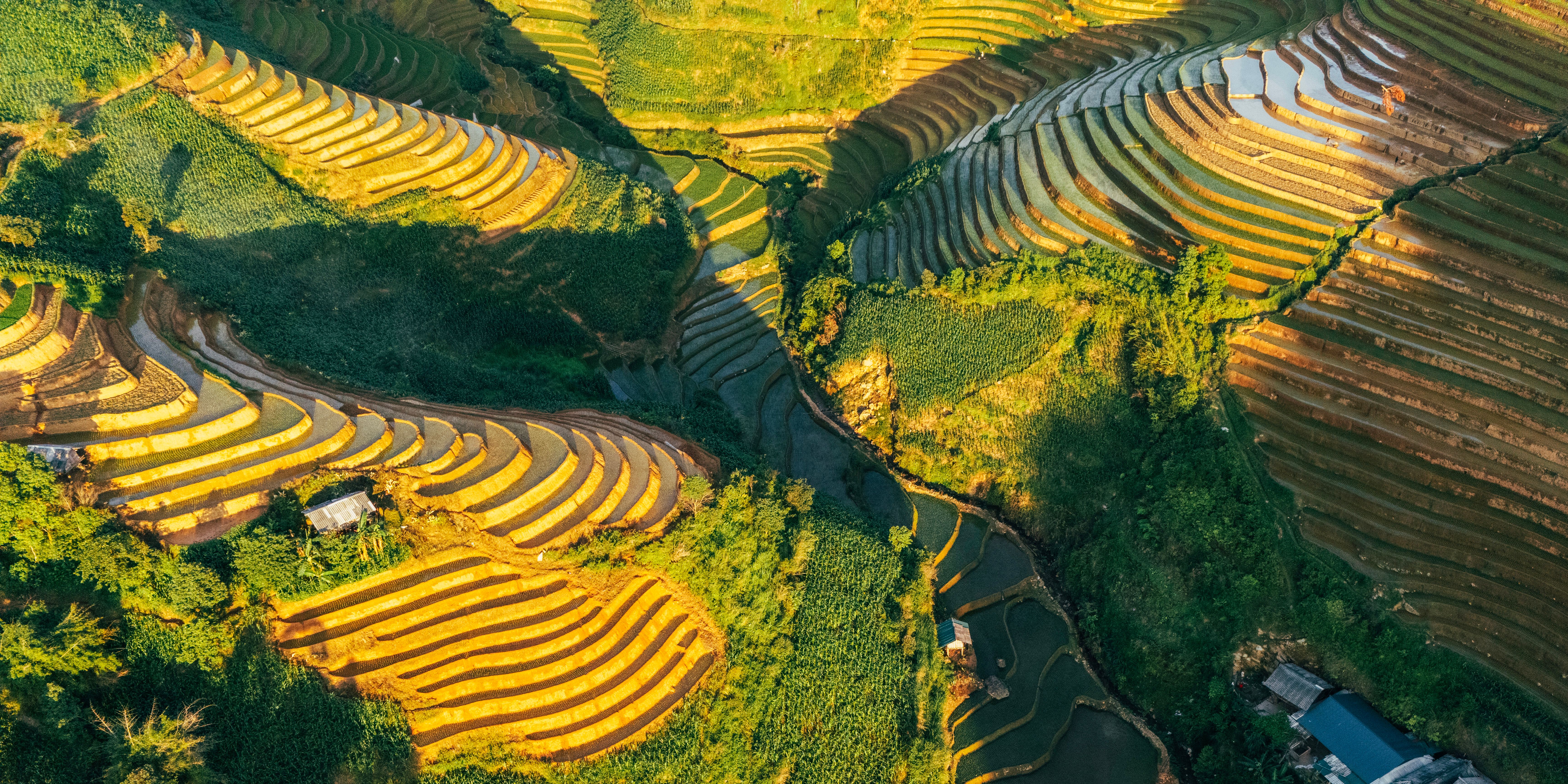 Aerial View of Vibrant Rice Terraces in Vietnam · Free Stock Photo