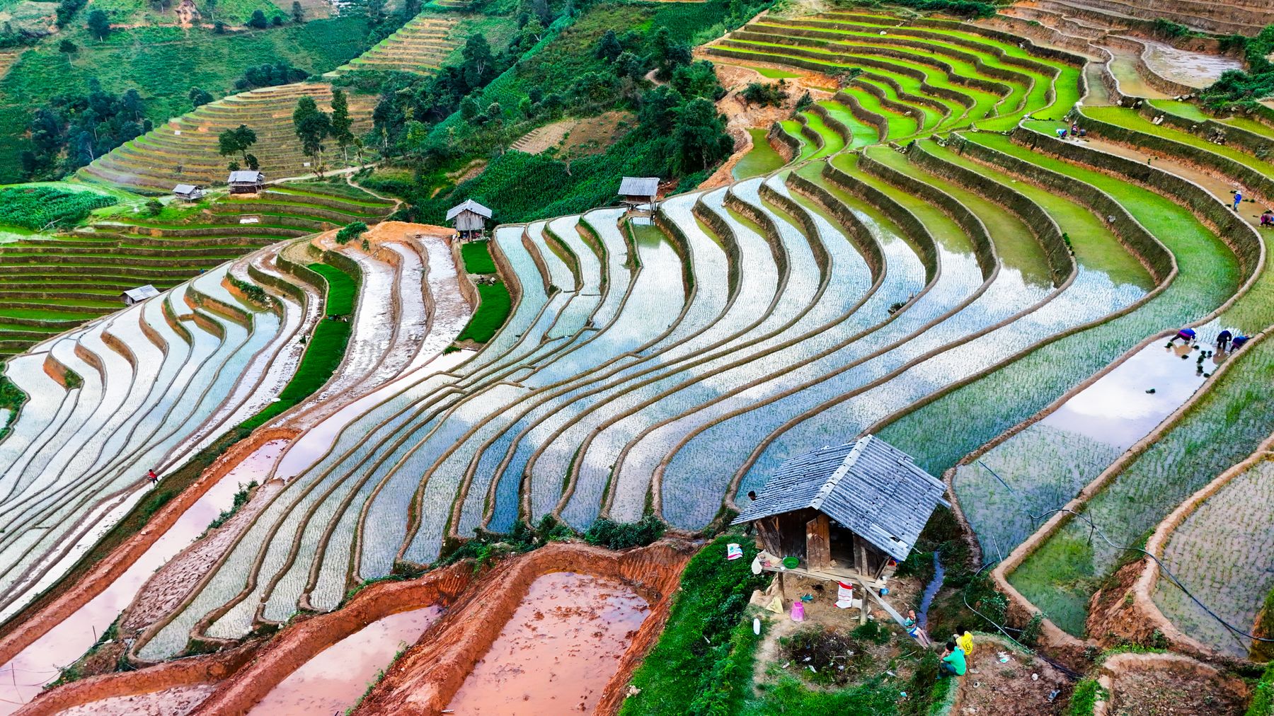 Aerial view of vibrant rice terraces in Mu Cang Chai District, Vietnam.