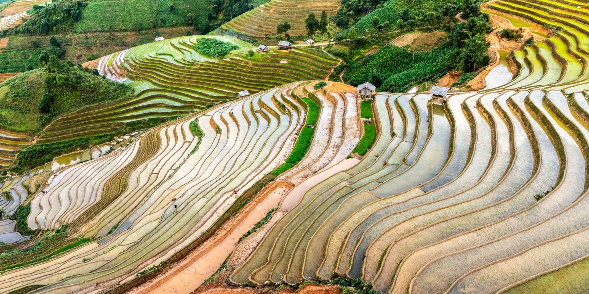 Aerial shot of Mu Cang Chai's breathtaking rice terraces in Northern Vietnam.